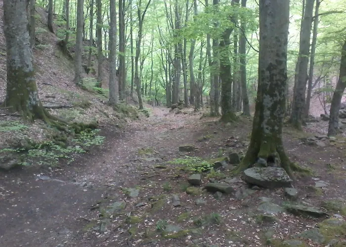 Miravalle 2000 3* Lizzano In Belvedere