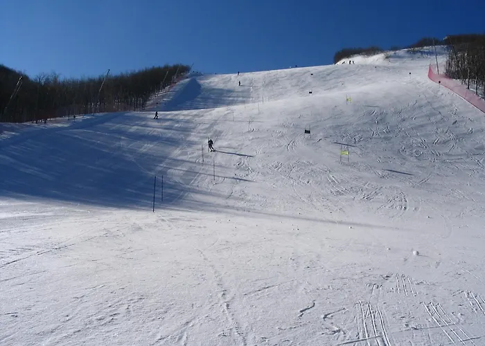 Miravalle 2000 Hotell 3*